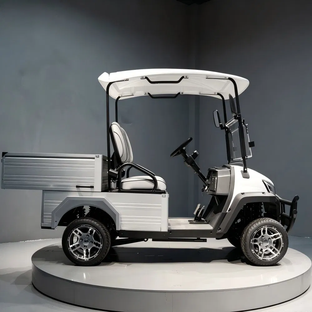 Tongcai Industrial Grade Electric Utility Golf Cart with Cargo Box for Warehouse