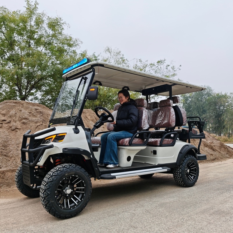 Electric Classic Buggy Utility Electric Club Car with Cargo Box for Golf Courses 6 Seater Street Legal Golf Cart