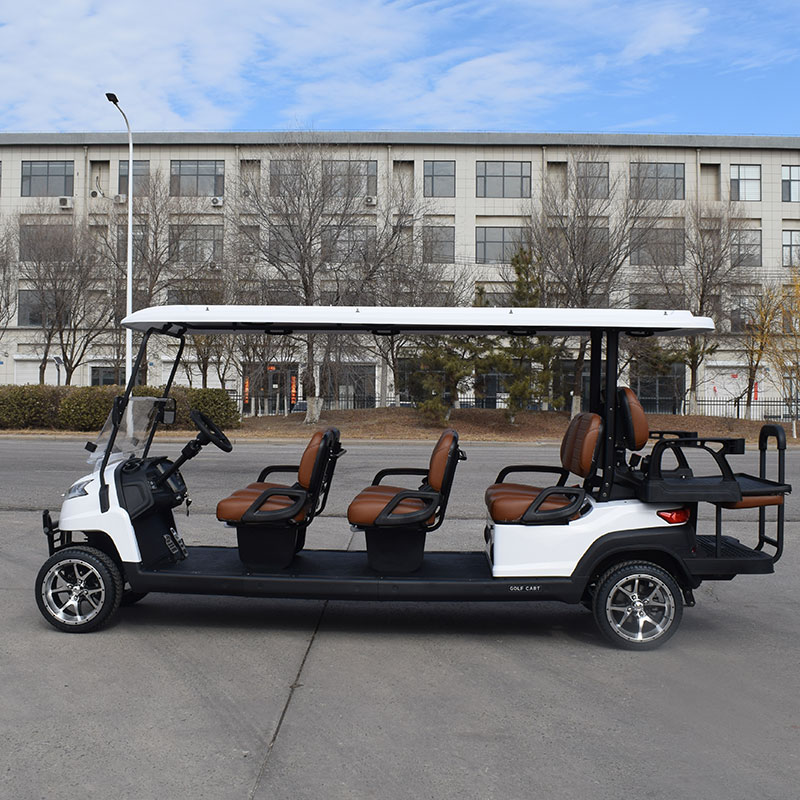 Electric vehicle detail