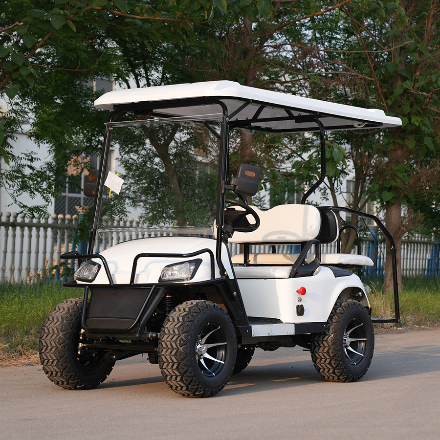 Wholesale 2 Seater Mini Electric Golf Buggy Car Golf Cart for Hotels and Airports