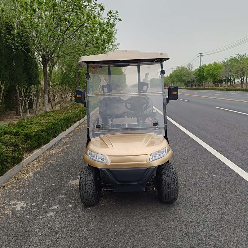 QIFAN Mini Luxury 4 Seats 6 Seats 8 Seats Electric Classic Golf Cart for Wedding Resort Hotel