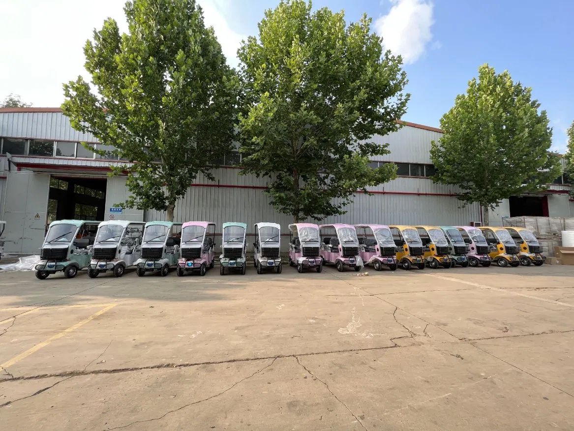Electric Drive Greenhouse Transportation Industrial Park Transportation Golf Electric Vehicle Electric Golf Cart
