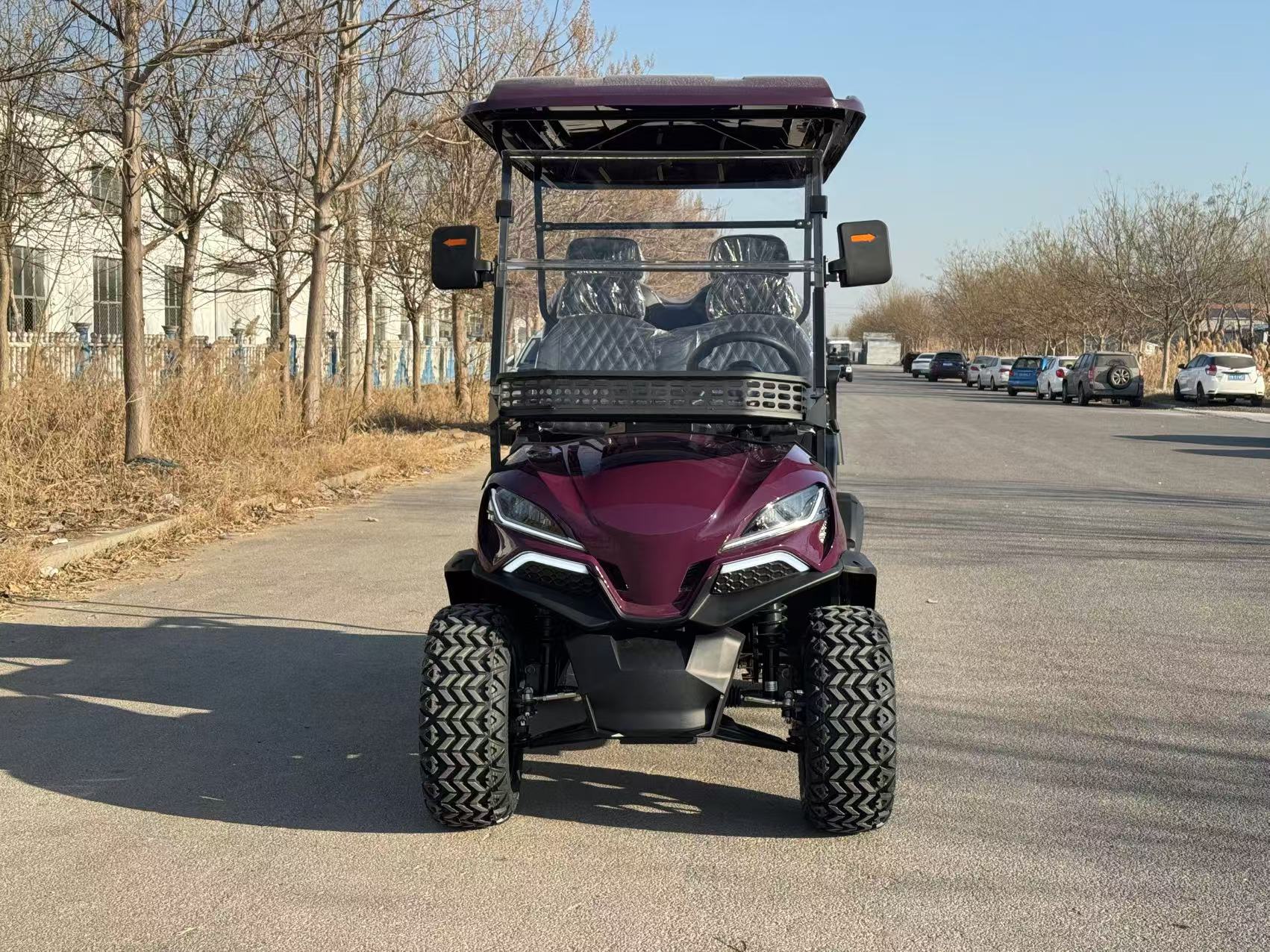4kw Motor Electric Golf Car 4 6 8 Seater Utility Golf Cart Electric 48V 60V 72V Lithium Golf Scooter