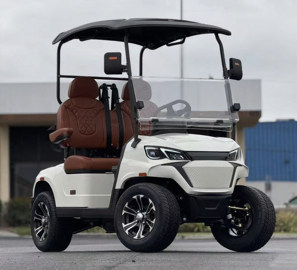 2 Seater Golf Cart LSV with Lithium Battery for Resort Campus and Community Use