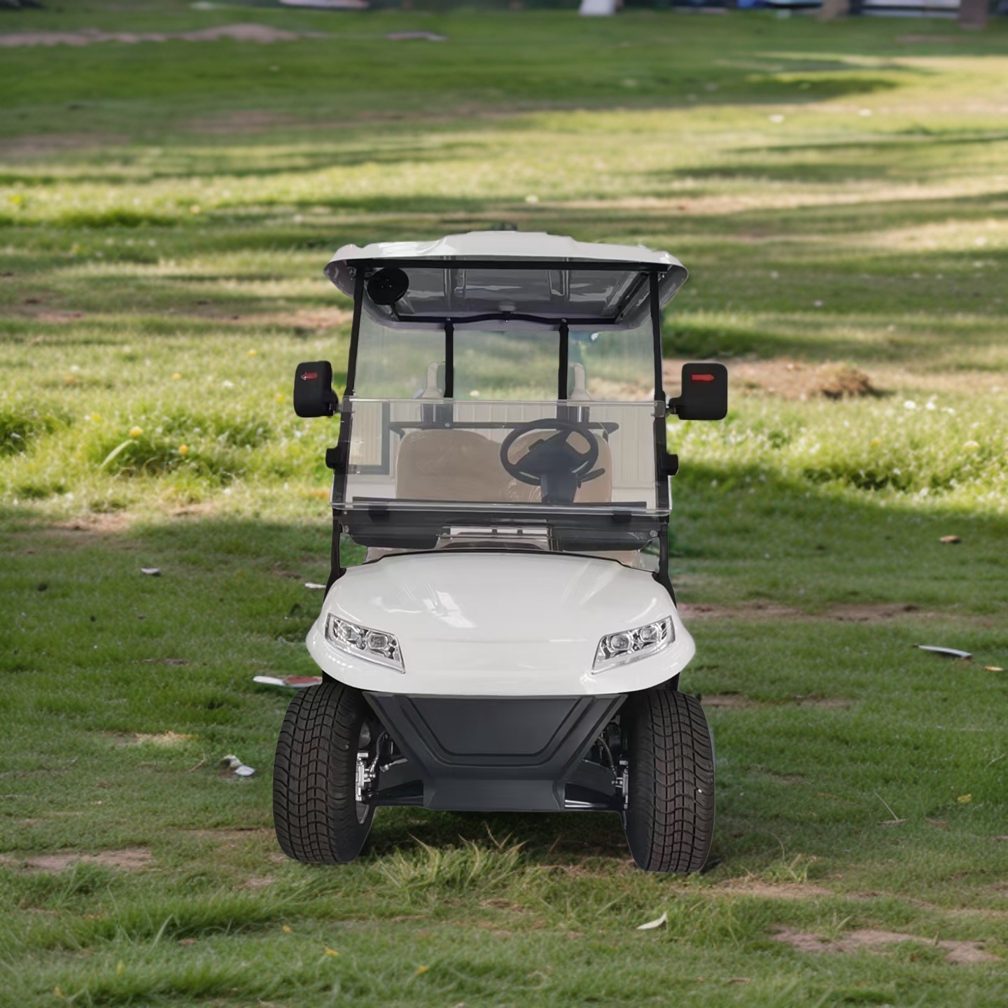 Fast and Intelligent Charging Electric 2-Seater Golf Cart CE Certified Lithium Battery Long Range Low Maintenance Golf Buggy
