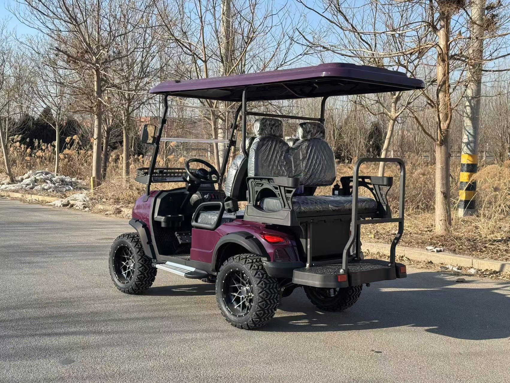 4kw Motor Electric Golf Car 4 6 8 Seater Utility Golf Cart Electric 48V 60V 72V Lithium Golf Scooter