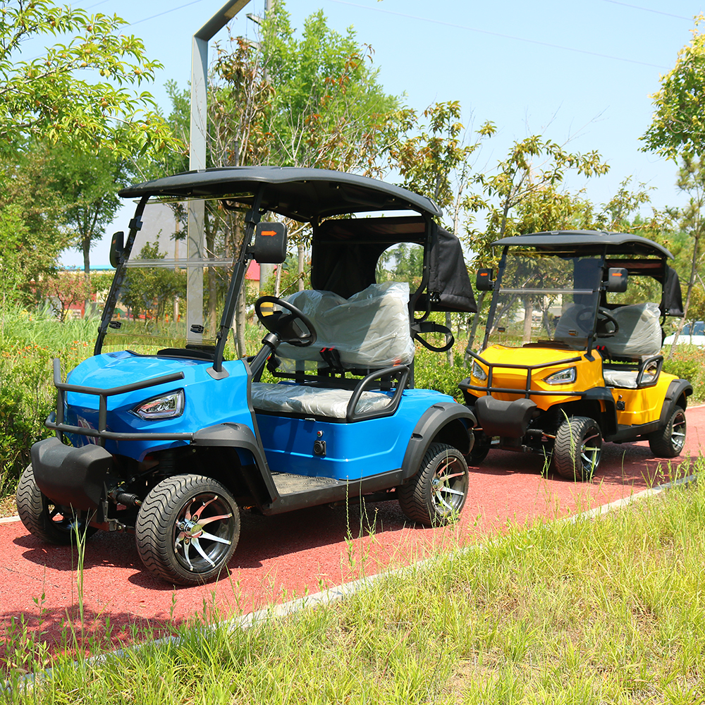 HUANLI Electric Car Buggy 2-Passenger Utility Mini Golf Cart with CE Certification Steel Frame &amp; Airport Use