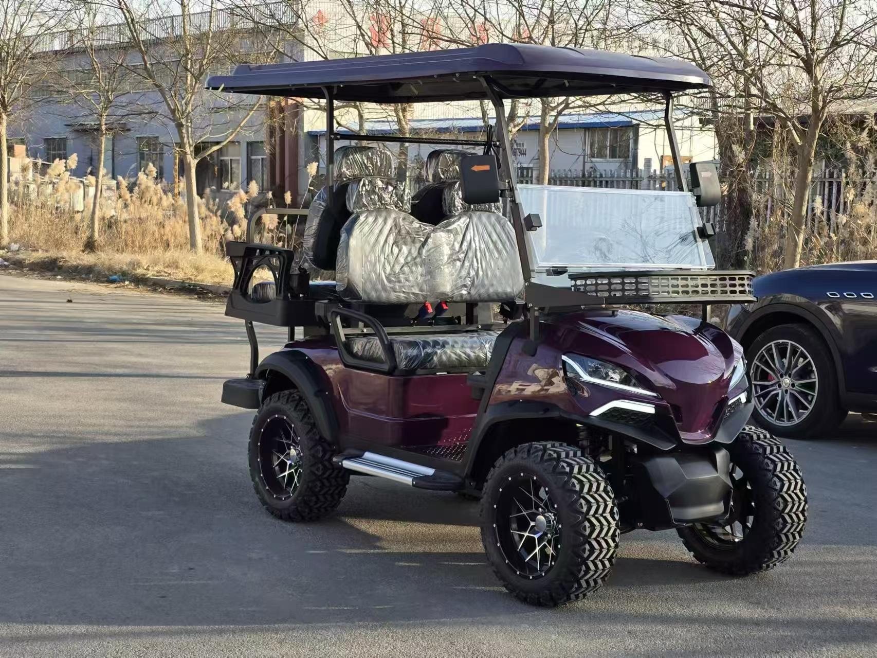 Shandong Factory Price 2 Seat 4 Seater 6 Seat 8 Seat Electric Golf Cart For Sales