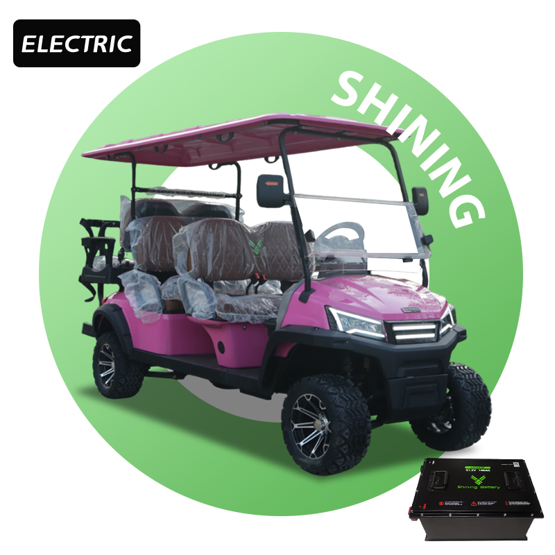 Shininglsv Electric 48V 6 Seater Golf Cart with Lithium Battery CE Certified for Holiday Resort &amp; Airport Use