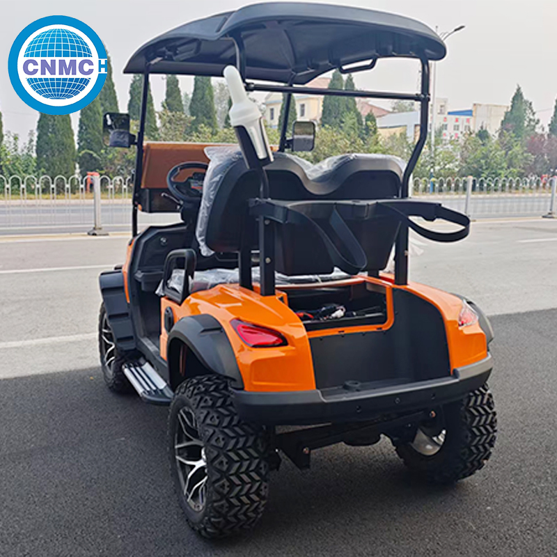 New Model Golf Cart 2 Seater 4 Seater with 4kw Motor and Android Display for Community and Resort Golf Cart