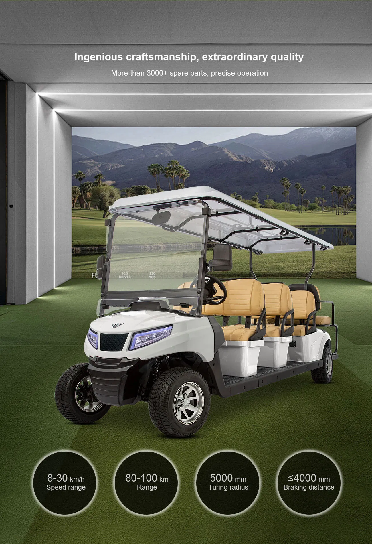 Street Legal 6+2 Seats Electric Golf Cart for Community Transportation