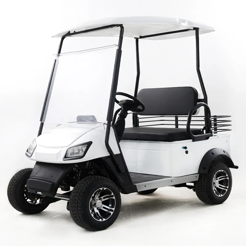 Electric Golf Cart Detail 3