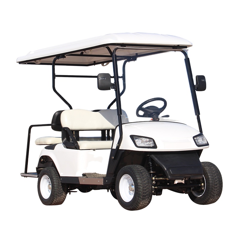 Custom Recreational Vehicle Car Solar 4 Seater Electric Golf Cart
