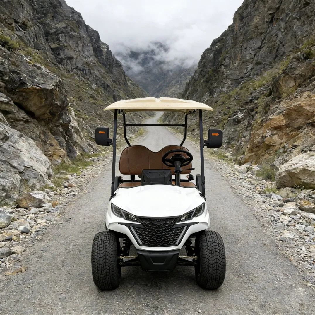 China Wholesale Cheap B+1 Model 2 Seats Electric Lifted Golf Cart for Community
