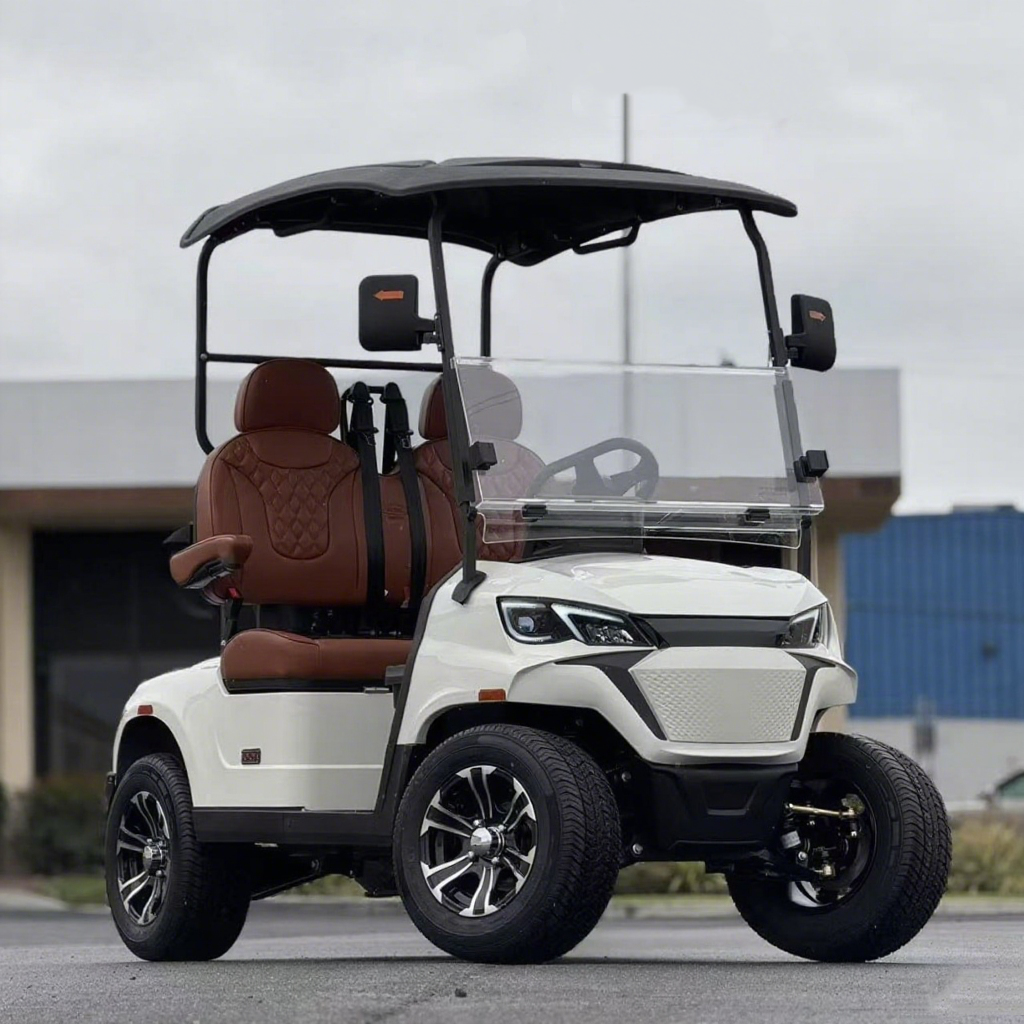 Electric Golf Cart 2 Seater for Campus Shuttle Resort Transportation and Private Community
