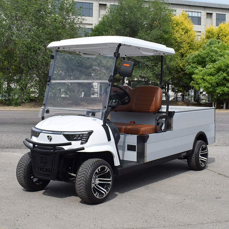 Electric vehicle view 1