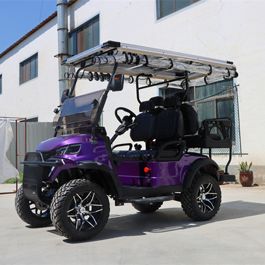 Solar Panels Golf Cart Customization Factory Direct Saleupgrade Golf Buggy Electric Golf Cart