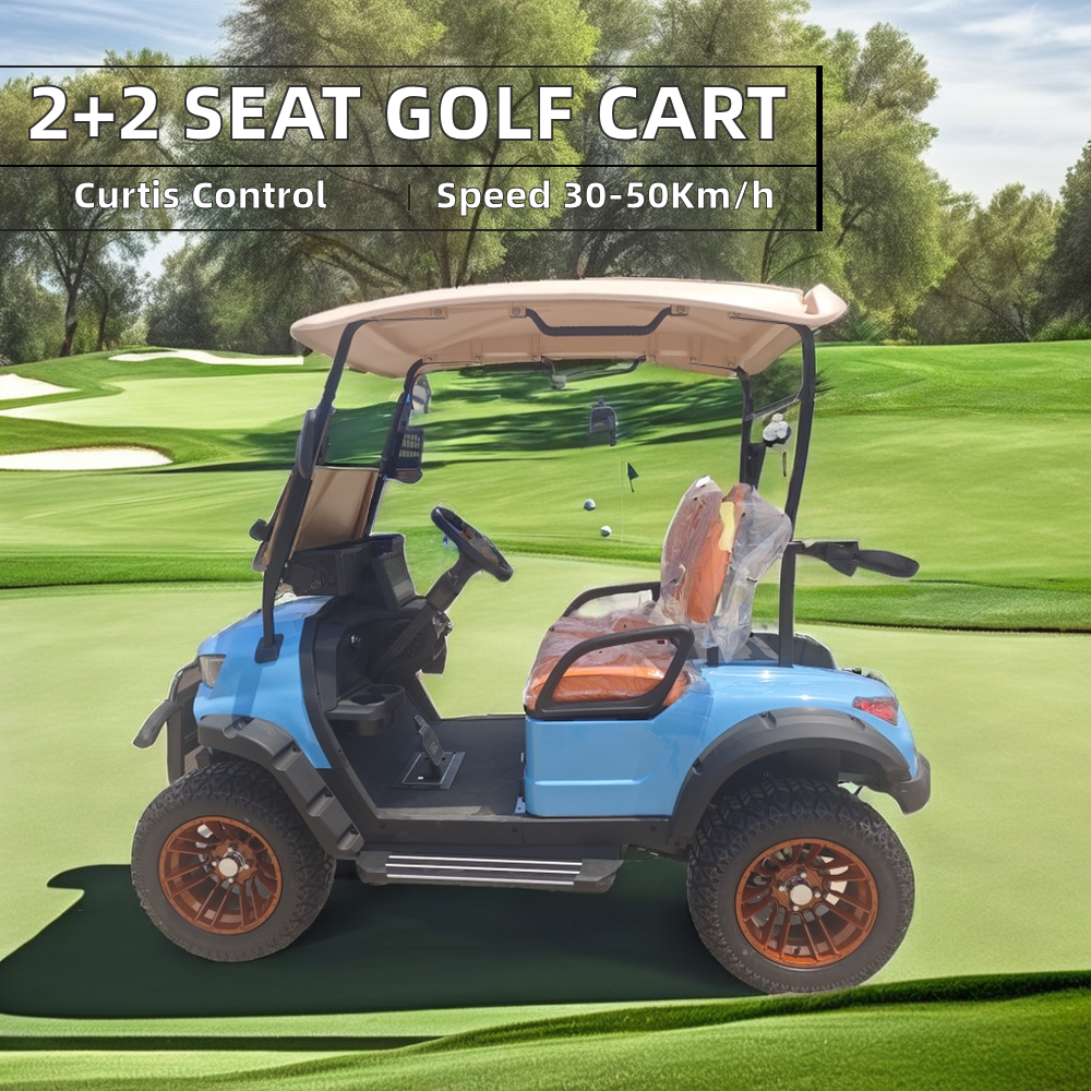 Custom 2-Seater Luxury Off-Road Electric Golf Cart with 48V Battery and Cheap Parts Including Off-Road Tire