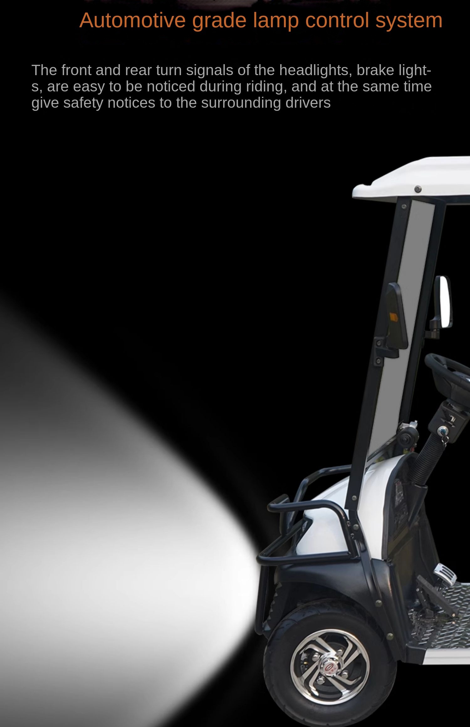 Electric golf cart details