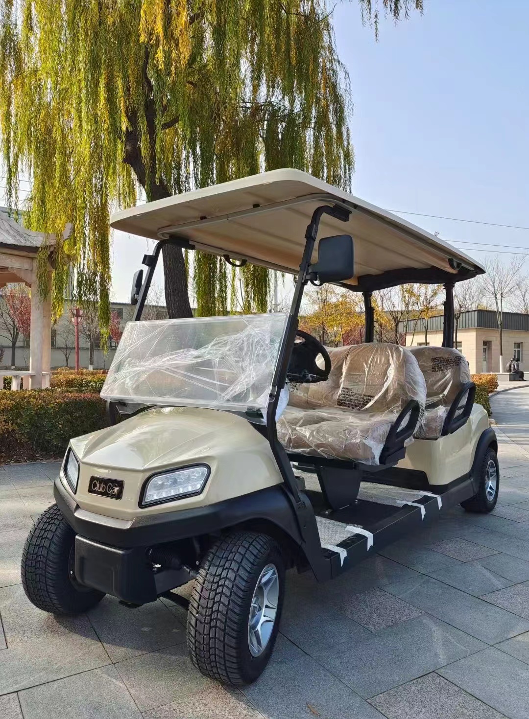 Golf Cart Accessory 7