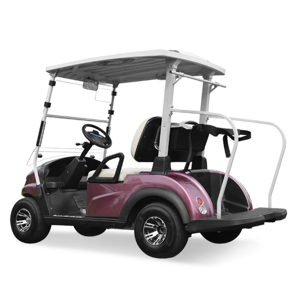 Wholesale Price 2 Seater Electric Golf Cart for Hotel Airport Use Lithium Battery Golf Buggy Free Maintenance Golf Cart on Sale