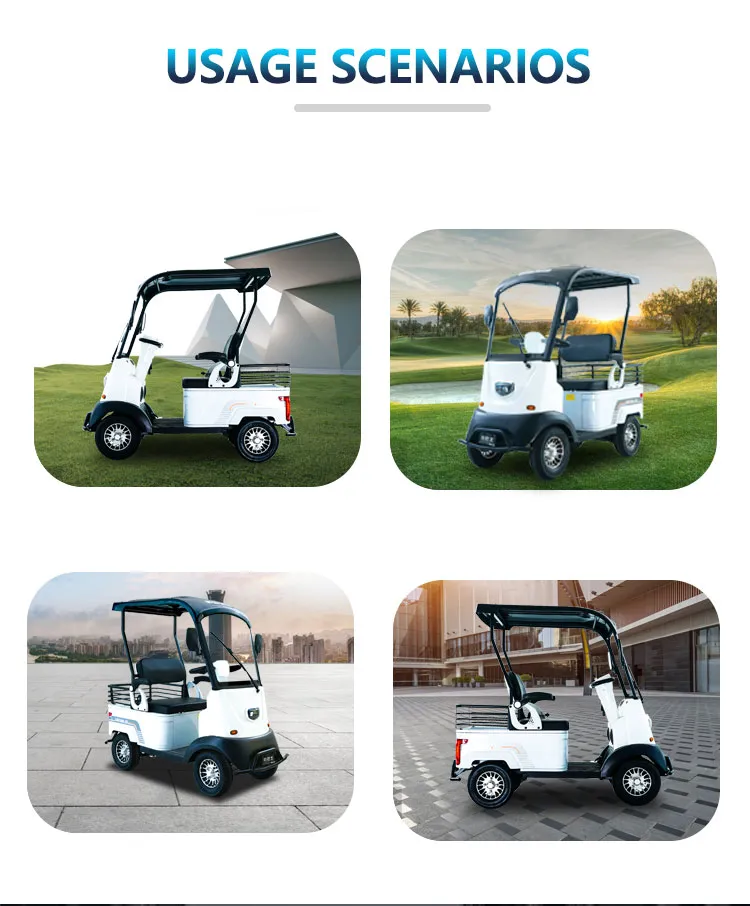 Electric Golf Cart View 3