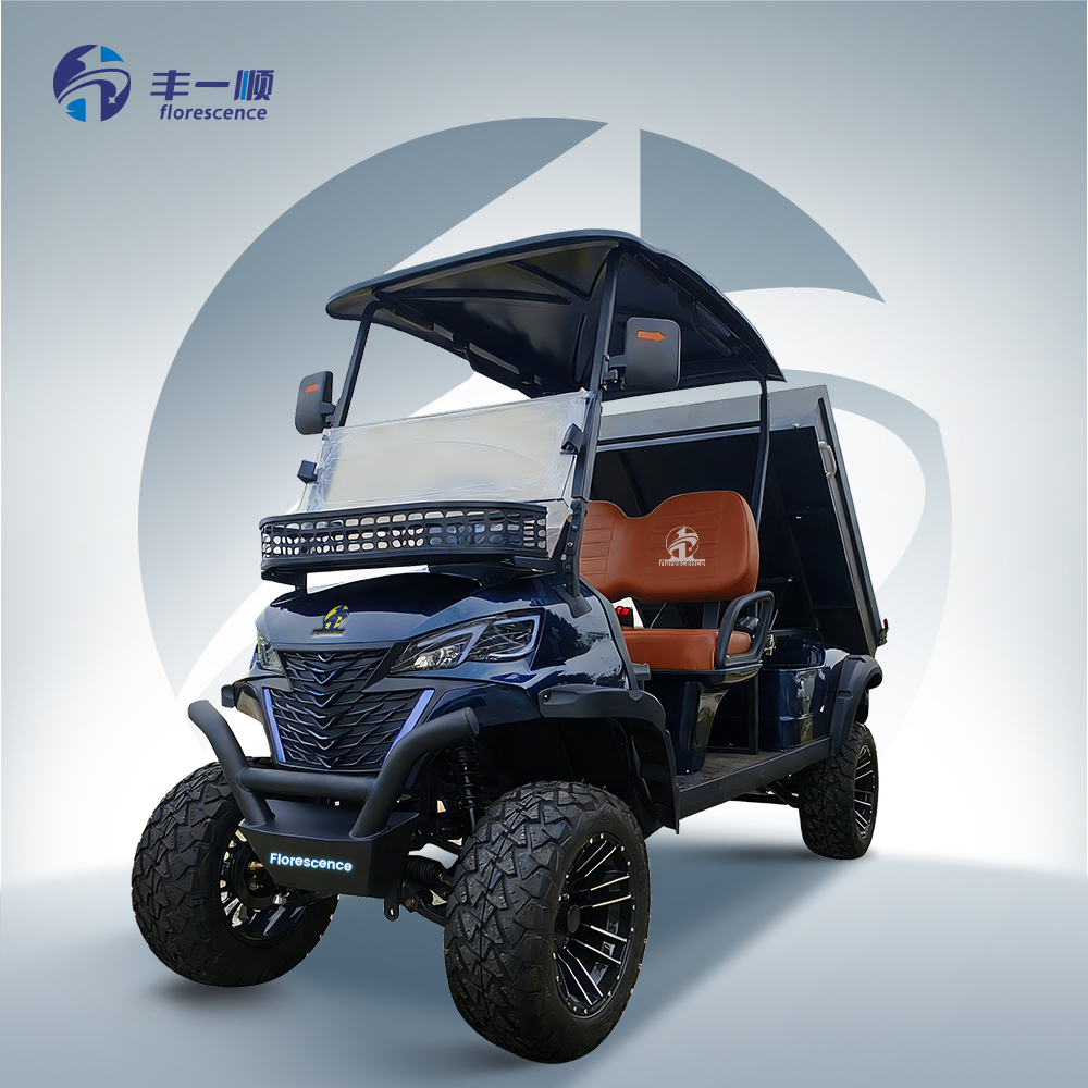 2 Seater Lead-acid Battery Solar Electric Golf Cart Candy Compact Free Shipping With Cargo Boxes