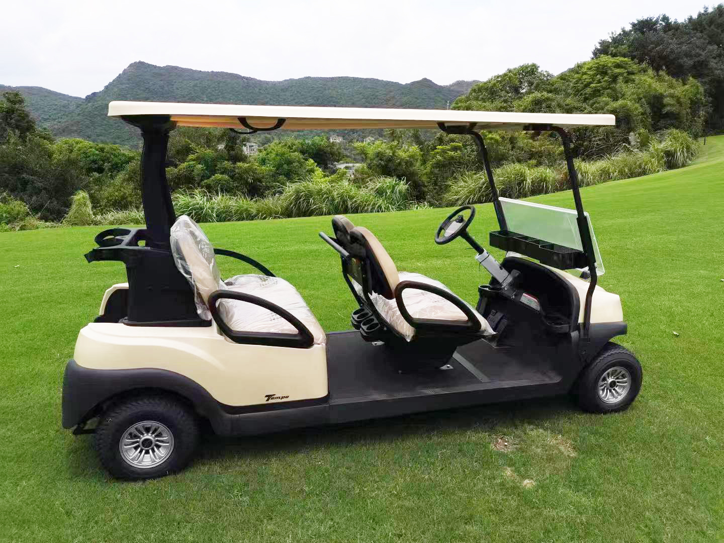 Golf Cart Accessory 10