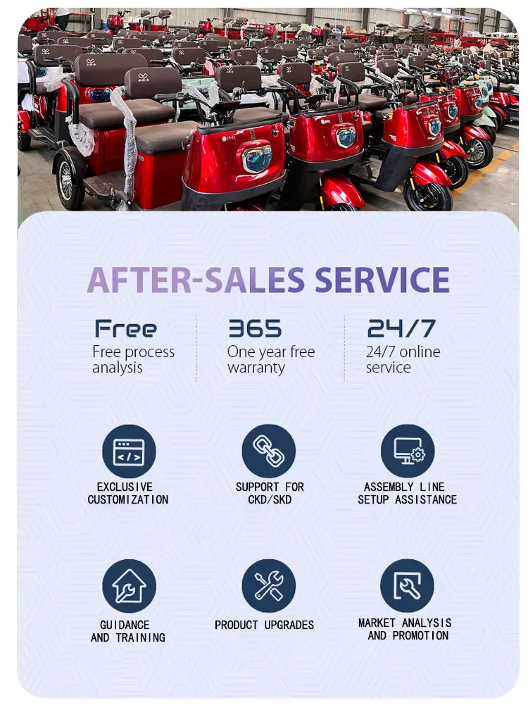 Electric Golf Cart 10
