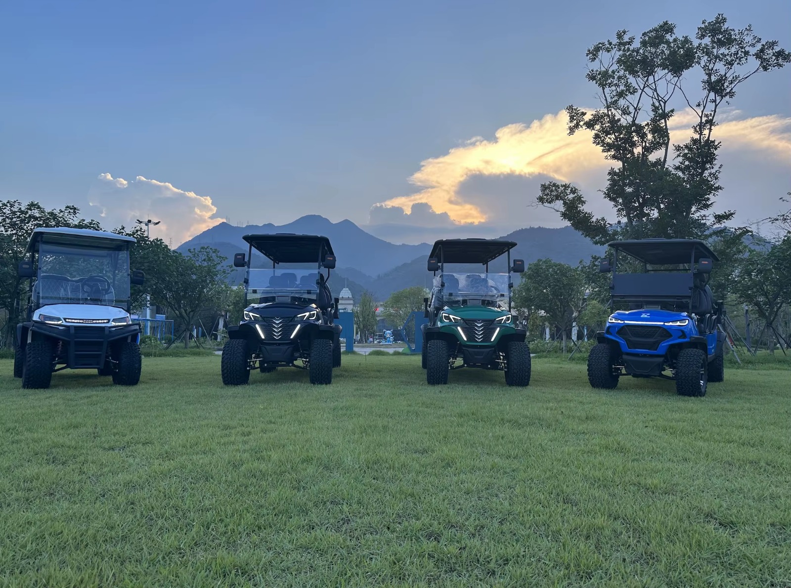 Lithium Battery 4KW Best Electric Off-road 1&ndash;2-Seater Golf Cart/Golf Buggy System Cheap Price Metal Steel Plastic Hunting