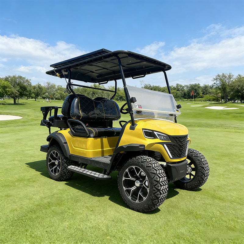 WOLAN Factory Supply Intelligent Electronic Control Utility Golf Cart with Heavy Duty Storage for Construction