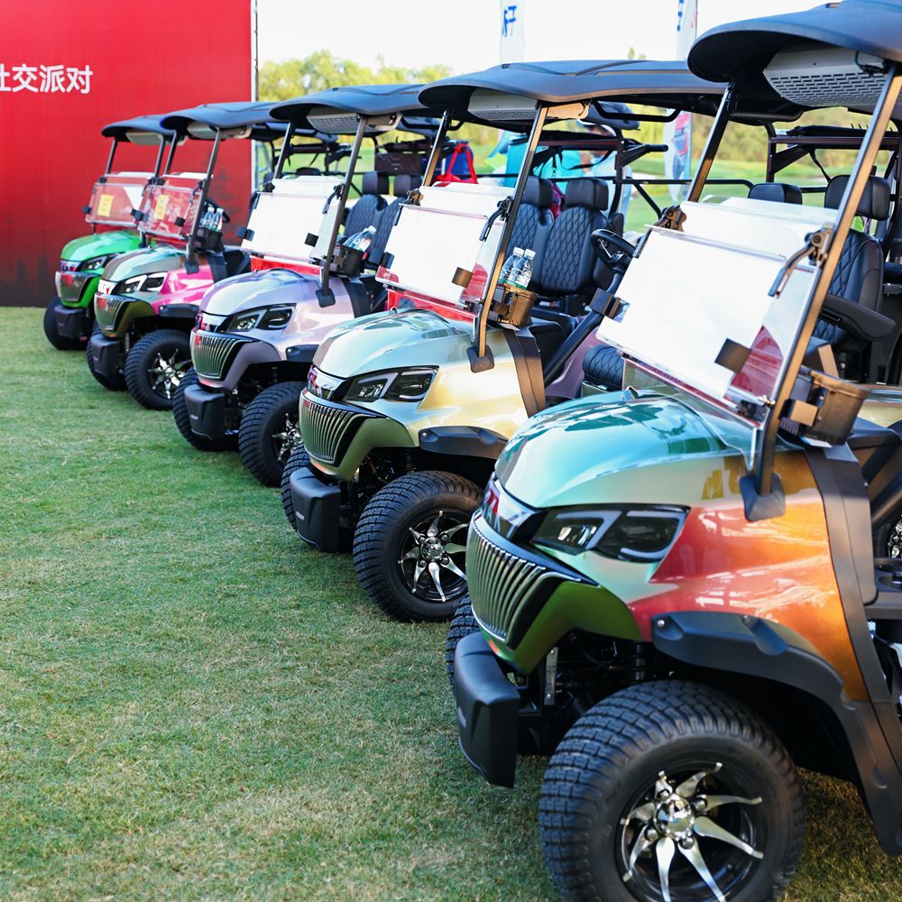 Reliable Supplies Customizations Electric Golf Cart with 48V AC Motor Powered 2 Seater Luxury Golf Cart