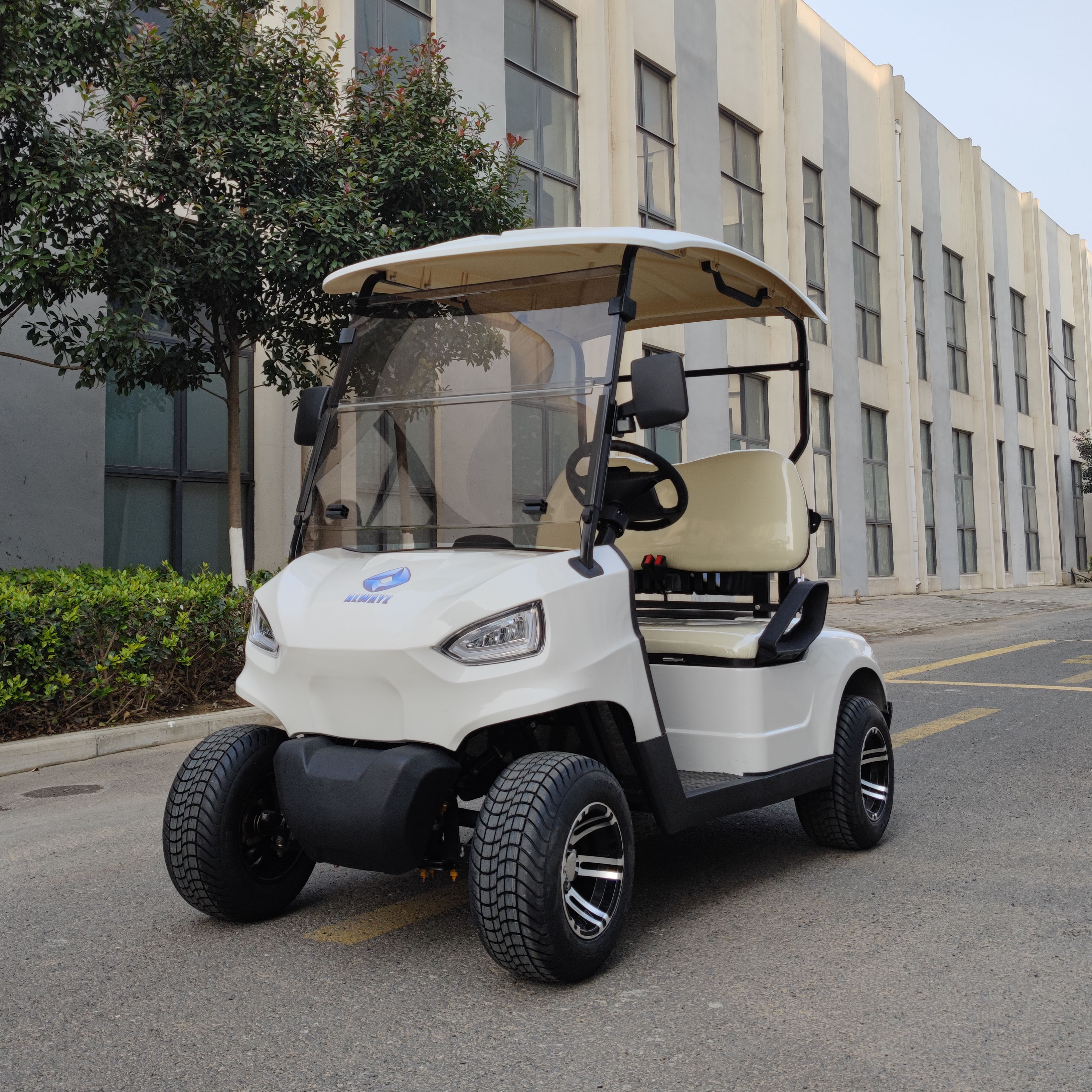 Custom Golf Cart for Promotion