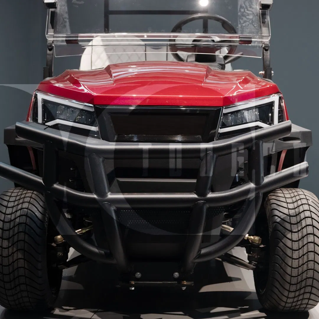 Newest Design EEC Certified Golf Buggies 4 Seater Electric Golf Cart/Buggy for Industrial Park Inspection