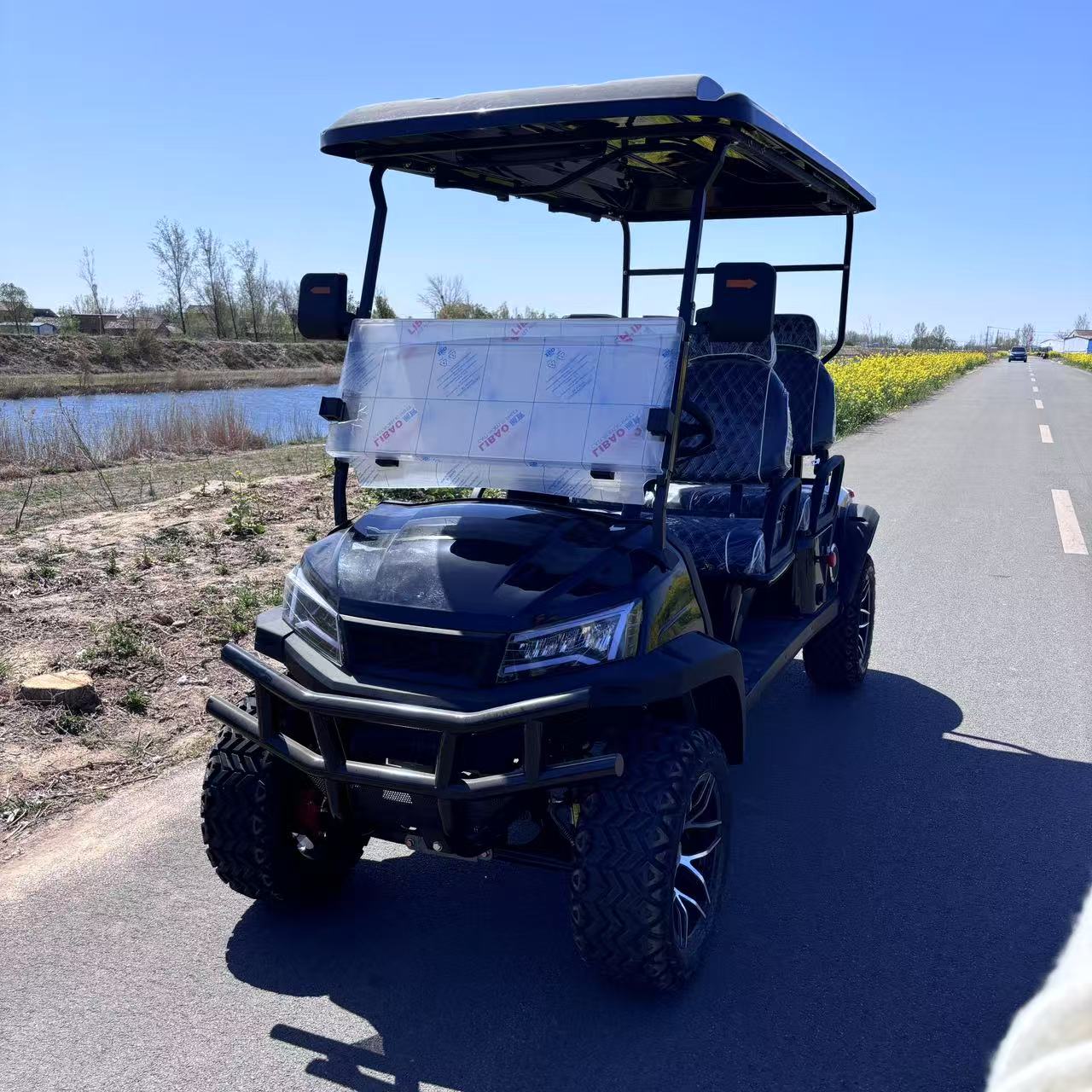 Custom Luxury Star Golf Cart 300km Driving Range Golf Cart