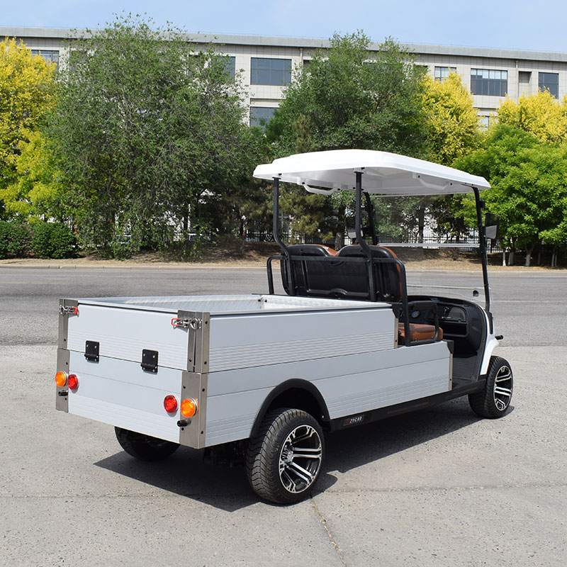 Electric vehicle view 5