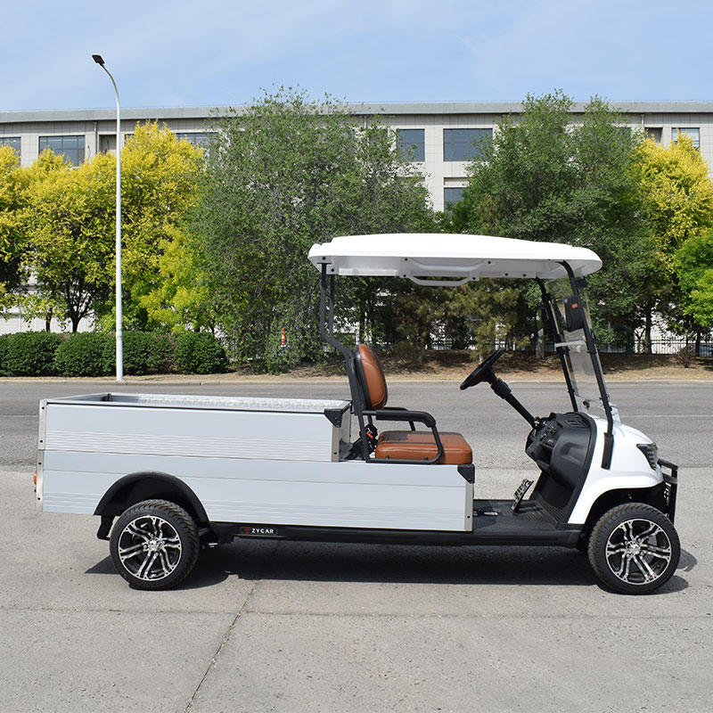 2 Seat Electric Golf Car Hotel 48v Cheap Golf Cart With Cargo Box