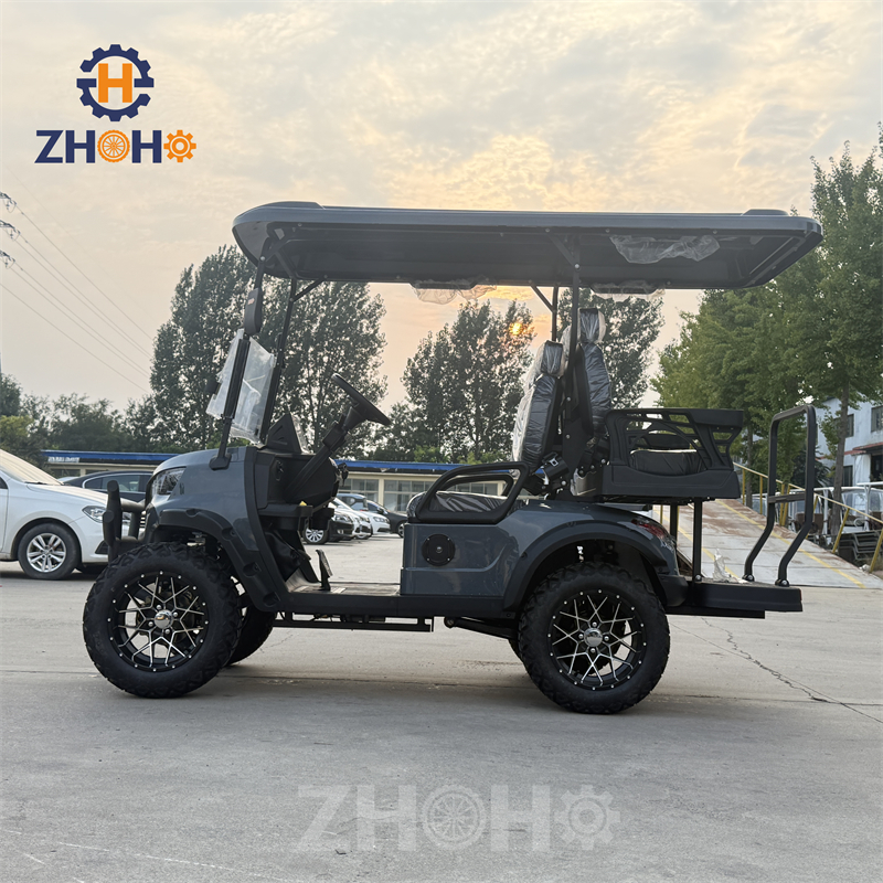 New Energy 5kW 48V Lithium Street Legal Golf Buggy Car off Road Suitable for Farms, Beaches, and Parks