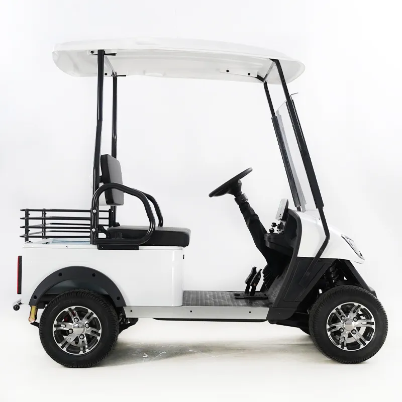 Electric Golf Cart Detail 4