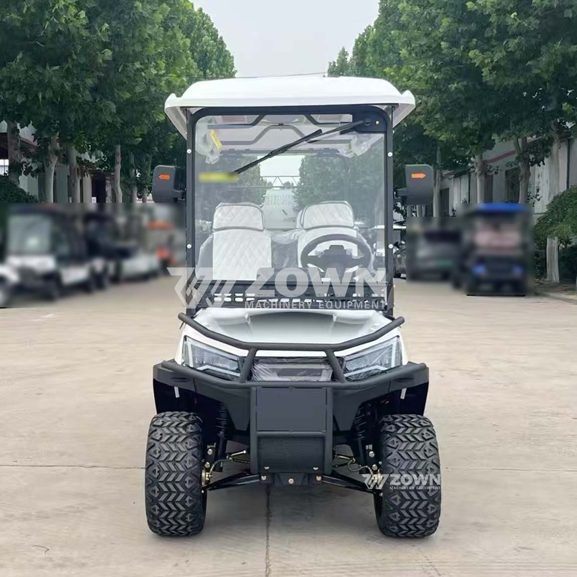 Multi Function Electric Golf Cart with Tool Rack and Storage Basket Ideal for Golf Course Park Campus and Villa Area
