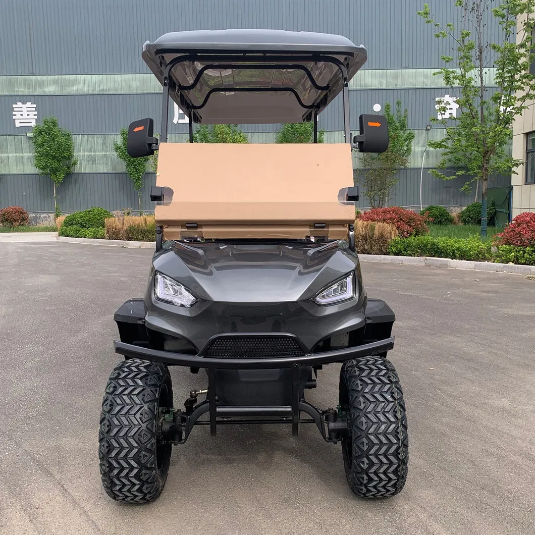 Golf Cart Detail 5