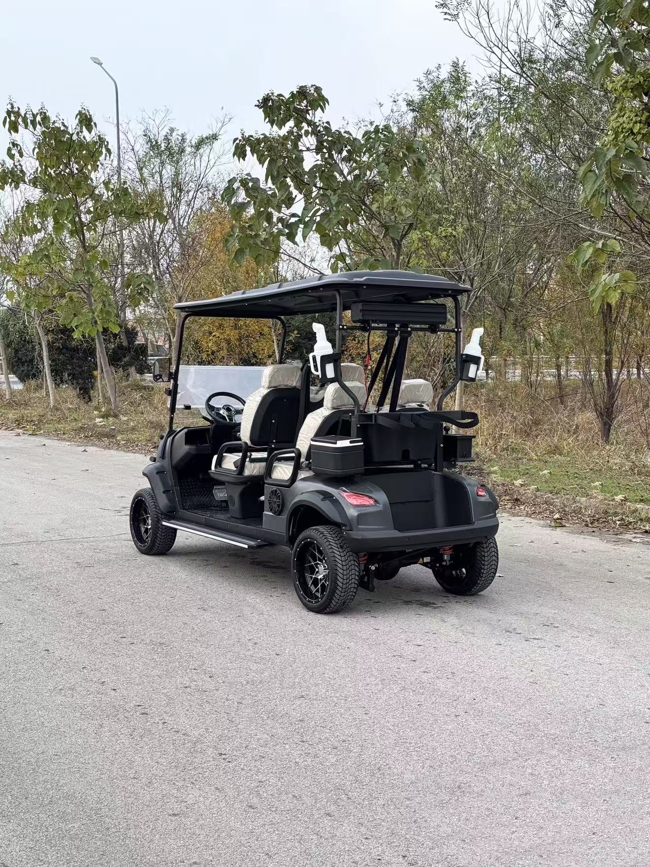 2026 New Style 6 Seater Eec Certified Golf Cart Buggy Electric 220V Acid Battery LED Lights Aluminum Frame Club Use
