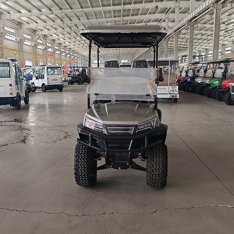 Custom Golf Cart 3 / 4 / 8 Seater Forward Facing Car Electric Mgi With Air Conditioner Golf Cart