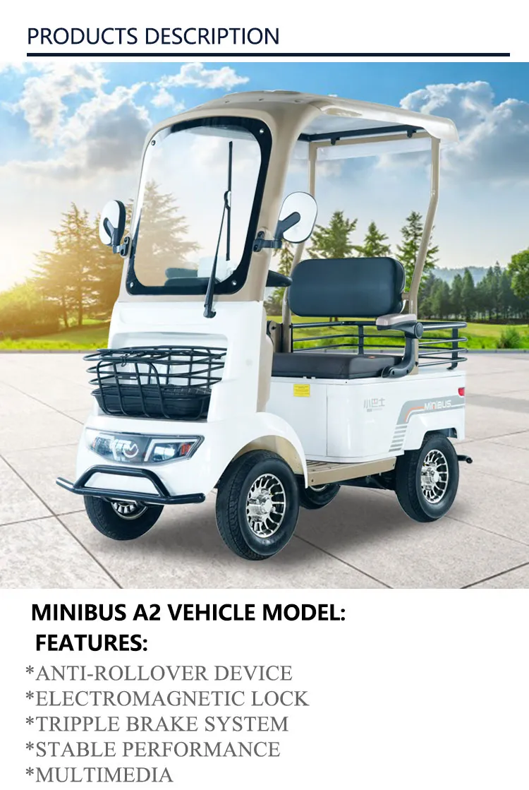 Golf Electric Vehicle 2