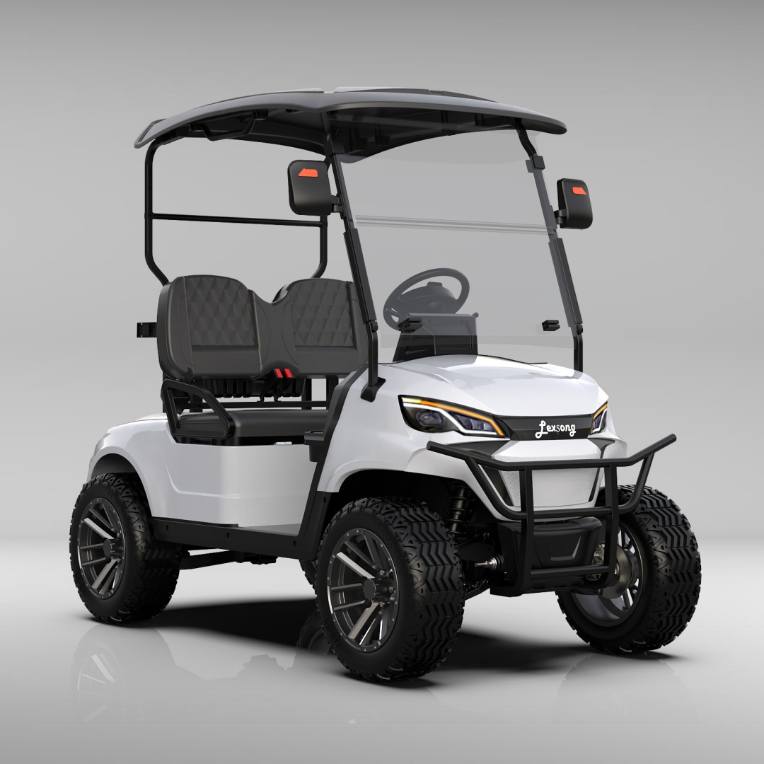 Electric Golf Cart 2 Seater for Campus Shuttle Resort Transportation and Private Community