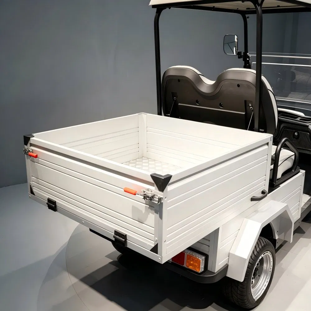 Tongcai Industrial Grade Electric Utility Golf Cart with Cargo Box for Warehouse