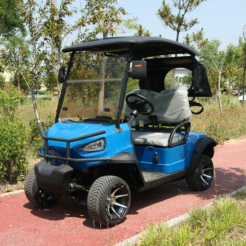 HUANLI Electric Car Buggy 2-Passenger Utility Mini Golf Cart with CE Certification Steel Frame &amp; Airport Use