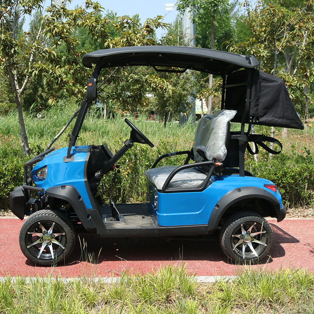 HUANLI Electric Car Buggy 2-Passenger Utility Mini Golf Cart with CE Certification Steel Frame &amp; Airport Use