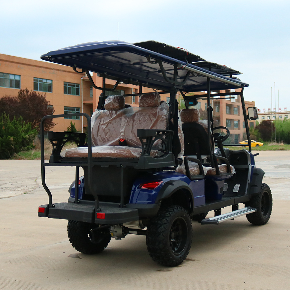 2 Passengers Electric Wholesale Golf Carts Vehicle Lithium Off Road Club Sightseeing Car Cheap 2 4 6 Seater Golf Cart Electric