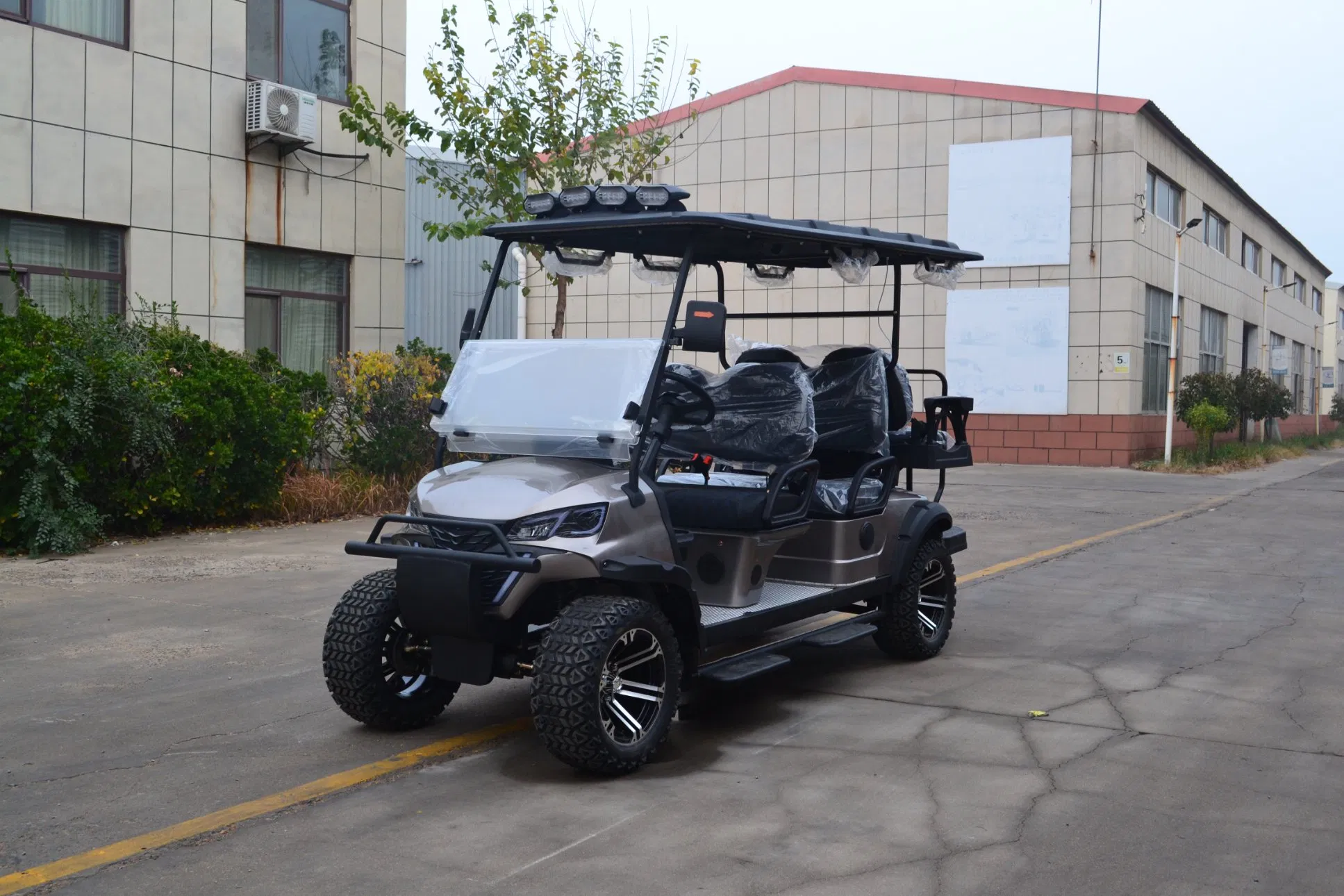 6-Seaters Golf Cart with Speed Governor for Community